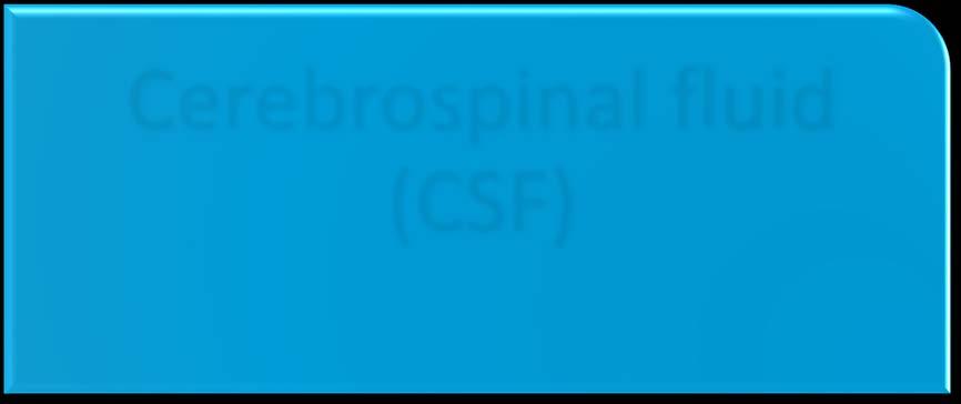 Vesicle fluid Cerebrospinal fluid