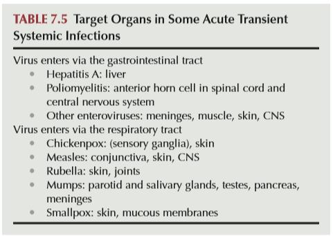 VIRUS INFECTION OF TARGET ORGANS Different viruses present different unique patterns of infection (clinical signs, symptoms, laboratory data, etc.