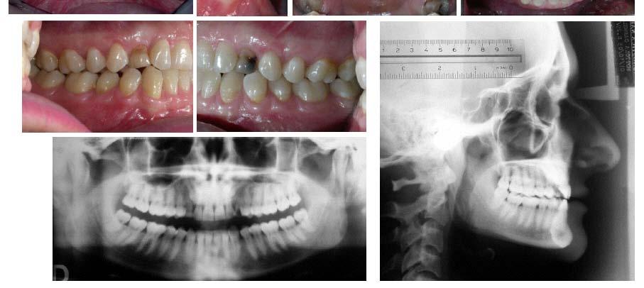 Dentistry Journal, 2013, Volume 7 193