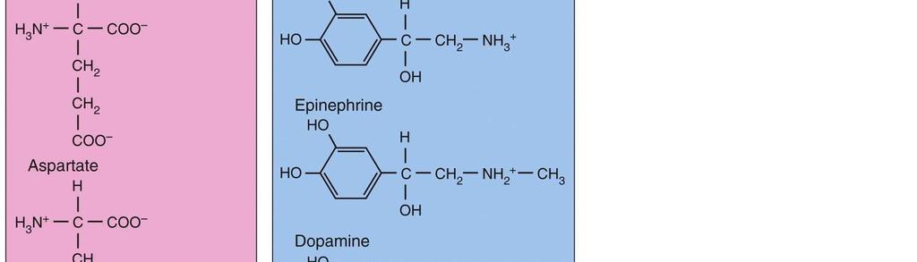 Substance P Enkephalins