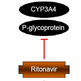 Protease Inhibitors (PIs) Examples Darunavir (Prezista ) Atazanavir (Reyataz ) Boosters Cobicistat (Tybost )