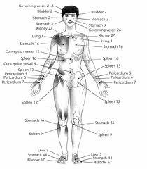 Meridians Pathologies and syndromes may be differentiated by many systems within Oriental Medicine and Meridian pathology is only one of them.