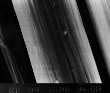 Figure 2. SEM micrographs of carbon fibre surface a) before laser treatment; b) after laser treatment Figure 3.