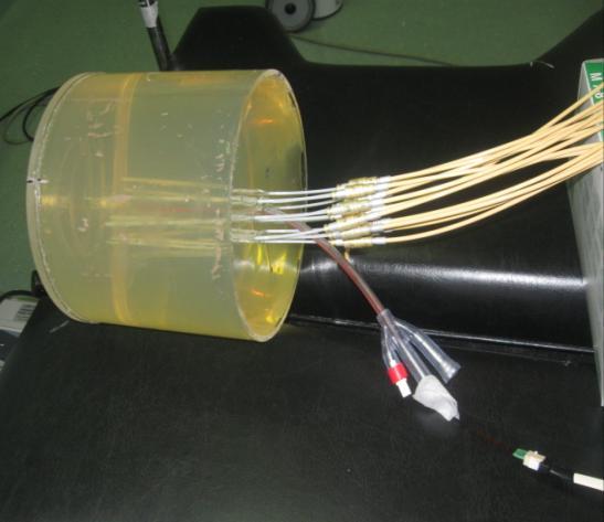 MOSkins were connected to the CMRP computerized reader for the on-line acquisition of dose measurements and the plastic needles were connected to the brachytherapy system thought transfer tubes