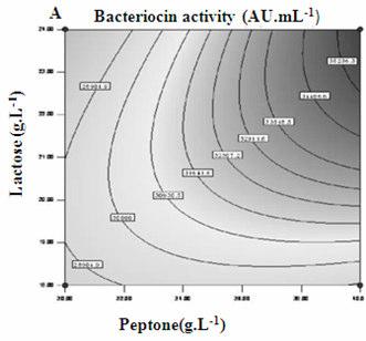 Response surface methodology The most sensitive variables such as peptone (A), meat extract (B) and lactose (D) were further optimized by RSM, using a central composite design.
