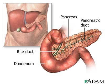 DEVELOPMENT OF PANCREAS The main pancreatic duct is formed from : The duct of the ventral bud.