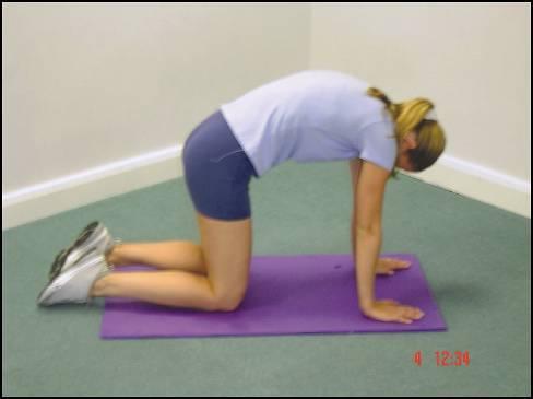 floor for support STRETCH: Box erector spinae Adopt an all four position with hands