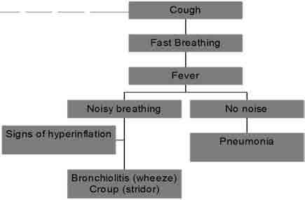 Clinical Approach to Acute Cough Respiratory rate Most important