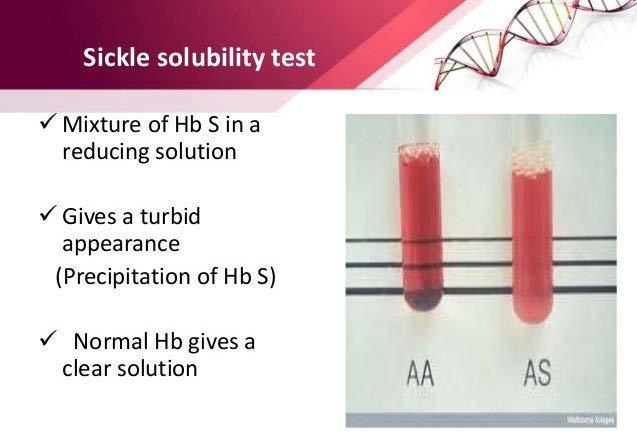 Solubility Test