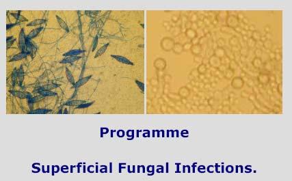 Three clinical cases Diagnostic and treatment challenges in skin and mucosal fungal infections Else