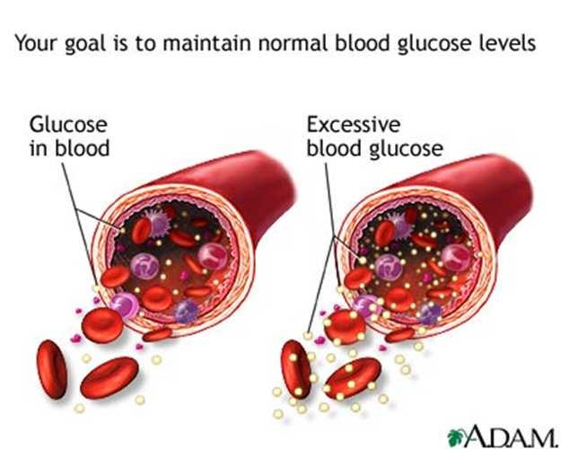 Understanding Hyperglycaemia - HIGH Blood glucose levels Hyperglycaemia means HIGH blood glucose and is commonly called a hyper.