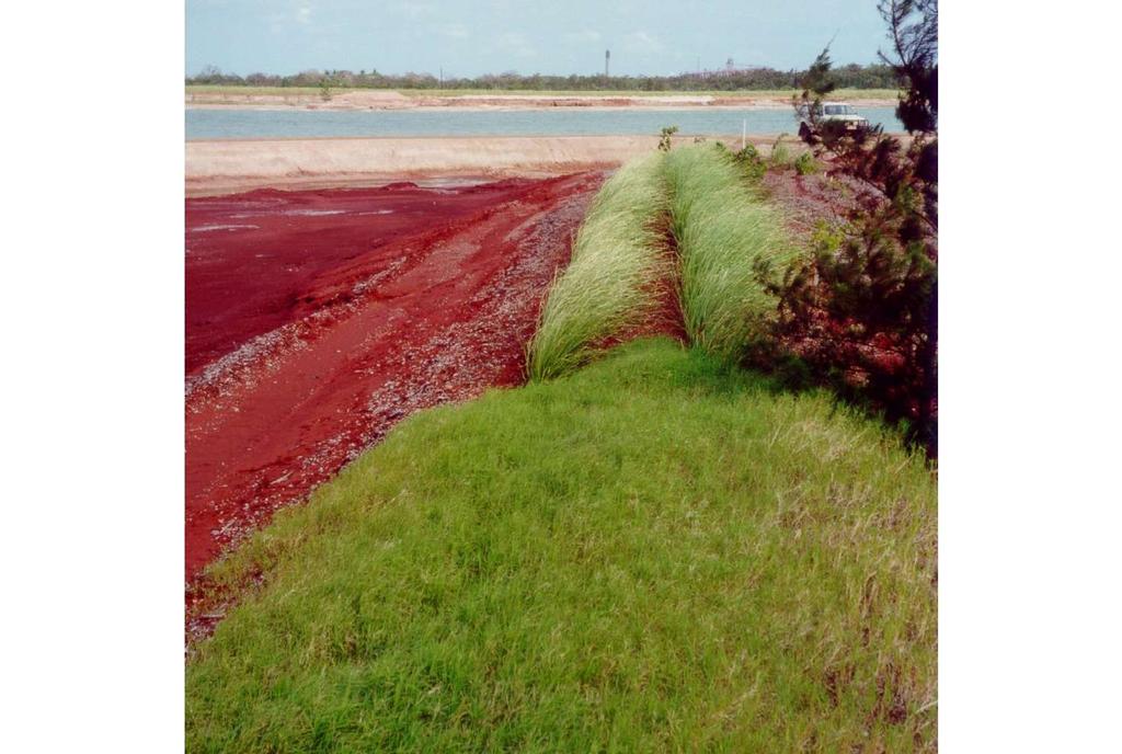 Fresh Residue Sands: Alcan Alumina processing at Gove, Australia Caustic pond Vetiver on highly caustic lower ground PC: Morell J Another by