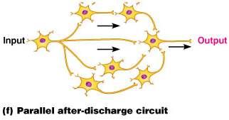 4. Parallel after discharge: