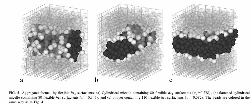 Starting from a random configuration of lipids, Monte Carlo simulations were used to obtain a