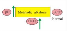 Transmembrane Shift Alkalosis Promotes K shift from