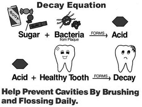 How Tooth Decay Occurs Personal Oral Care quality