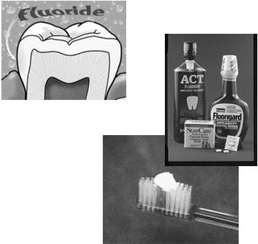 Fluoride- topical s best