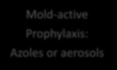 prophylaxis Mold-active