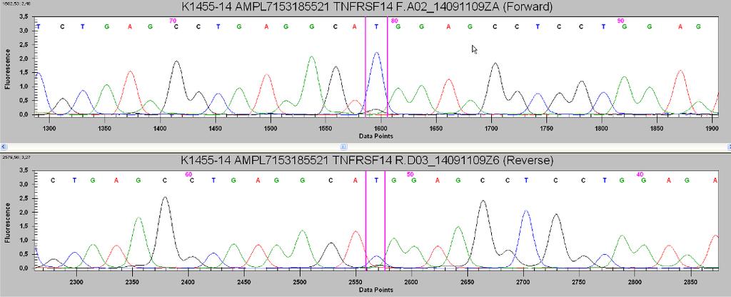 TNFRSF14 mutations in PFL A) Ion AmpliSeq Custom