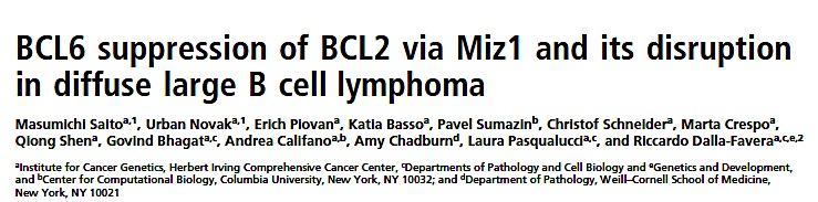 BCL6 and BCL2 at the heart of germinal centre