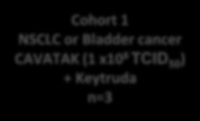 CAVATAK(1 x10 9 TCID 50 ) + pembrolizumab Cohort 3: NSCLC or Bladder cancer CAVATAK (1 x10 9