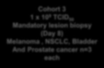 melanoma, prostate, NSCLC or bladder cancer with <1:16 anti-cavatak serum antibodies IV