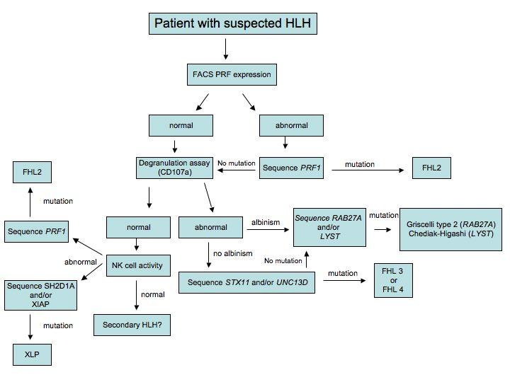 Figure 2: Suggested diagnostic flow chart for patients with suspected HLH. The patients included should fulfill the diagnostic criteria for HLH set up by the Histiocyte Society.