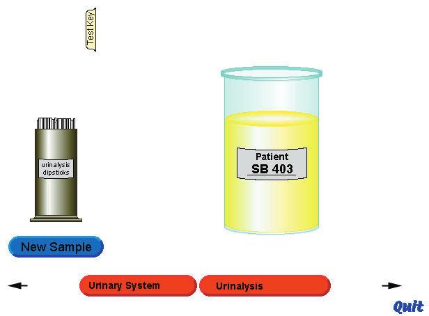 Activity.3 Urinalysis The urine generated by the urinary system will normally have certain characteristics and contain certain amounts of several compounds.