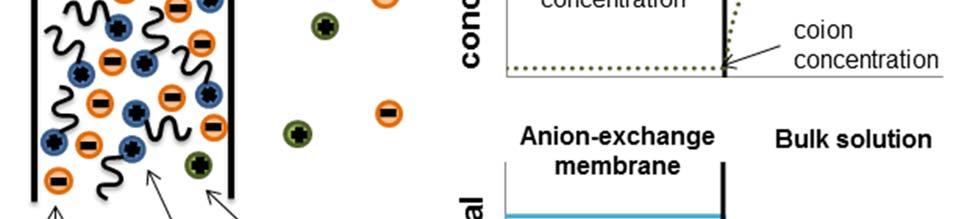 The rejection of ions via Donnan exclusion strongly depends on the charge density of the membrane and the concentration of ions in solution.