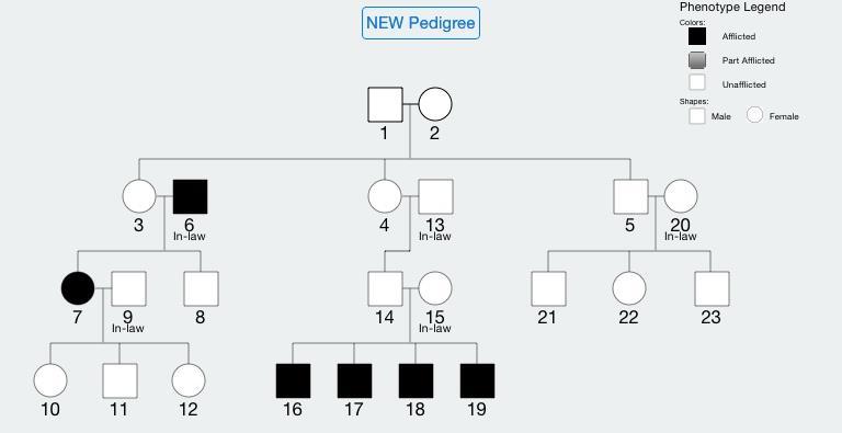10. The pedigree below models autosomal recessive inheritance. Why does this NOT represent X-linked inheritance?