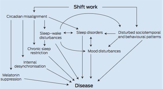 Anything outside of 9-5 ~16% of all work done Multiple pathways Metabolic implications of shift work This issues: