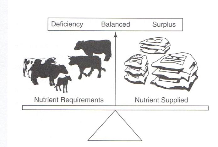 Introduction Optimize the ruminant nutrition Animal requirements -In: -Energy -Protein (digestible) -Depends on: -Physiological state (Mant. Grow. Preg.
