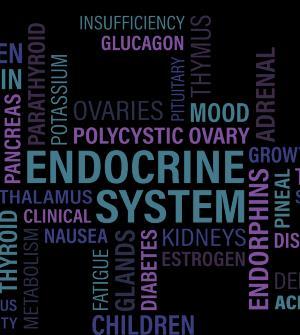 How Do You Keep Your Endocrine System Healthy? 1.