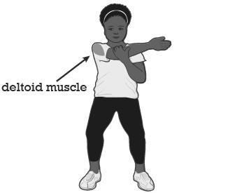 Stretches Exercise Tool 1) Chest Stretch (Pectoral Muscle) Ø Stand with your feet shoulder width apart Ø Relax your shoulders and make sure they are not hunched up Ø Clasp your hands behind your back