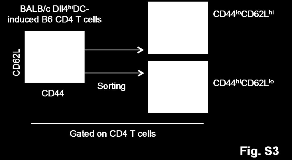 Fig.S3. Sorting of T cell subsets.