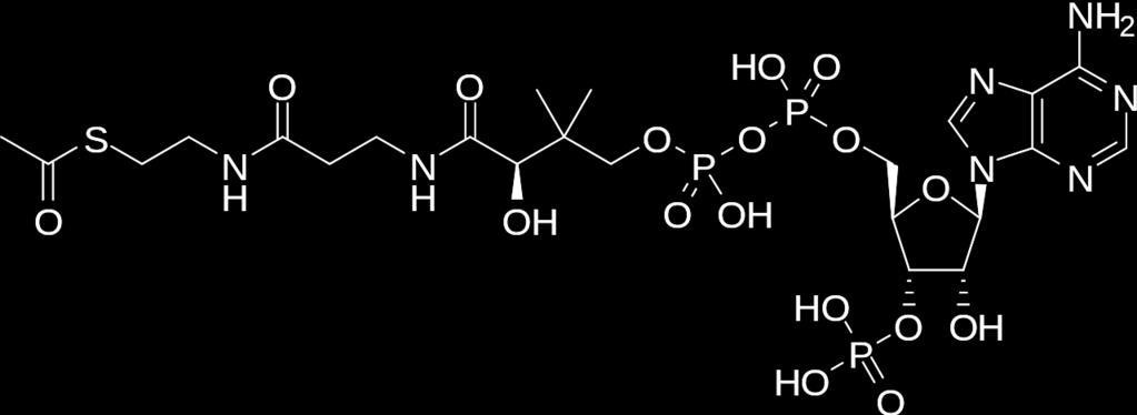 Uncontrolled reaction (b) Cellular respiration oxidizing agents NAD+ - (nicotinamide adenine dinucleotide) Nicotinamide (oxidized form) (from food) Dehydrogenase Reduction of Oxidation