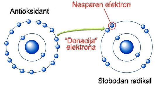 2. Slobodni radikali Slobodni radikal je svaki atom ili skupina koja ima jedan nespareni elektron ili više njih u vanjskoj ljusci (Slika 1.).
