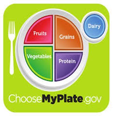 Meal Planning: Plate Guide Review A healthy meal plan should include all food groups: Lean meat, poultry, fish, meat substitutes Vegetables