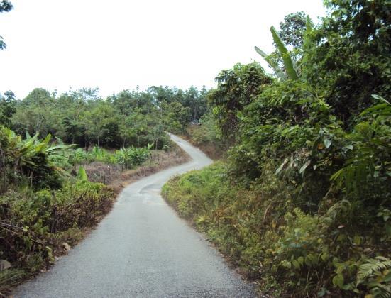 Road to Orang Asli
