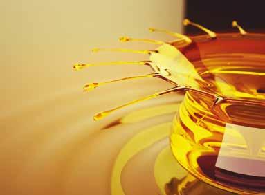 DRIVING INNOVATION in natural-based lubricants for a sustainable tomorrow Sustainable Lubricant Solutions Emery Oleochemicals products are used to improve processing efficiencies,