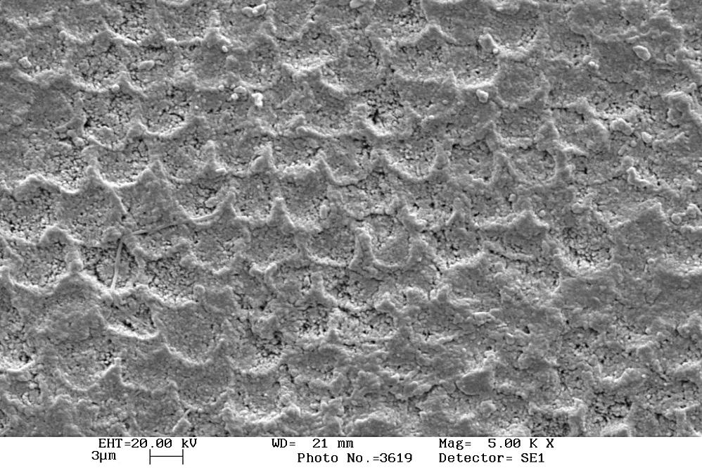 No significant morphologic alterations were detected on unbleached enamel surfaces.