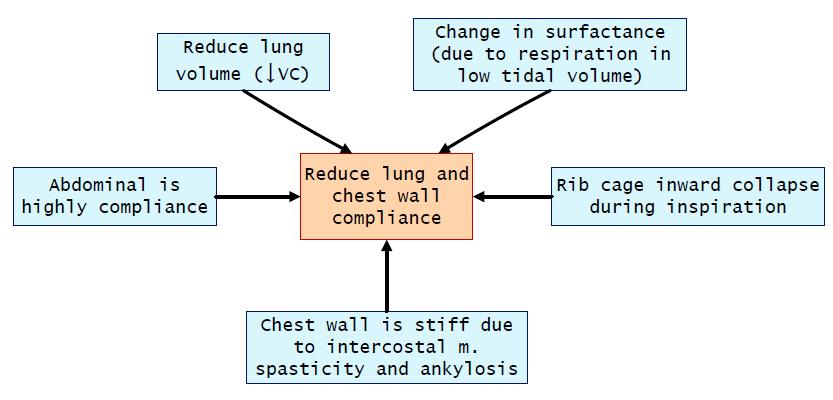 Changes in lung and chest wall