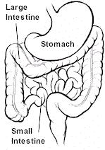 S PATIENT INFORMATION oregon surgical specialists Surgery for Polyps or Colon Cancer (Updated 10.08) Colon cancer is cancer of the large intestine, or colon.