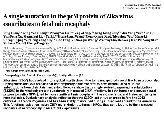 Point mutation in Zika