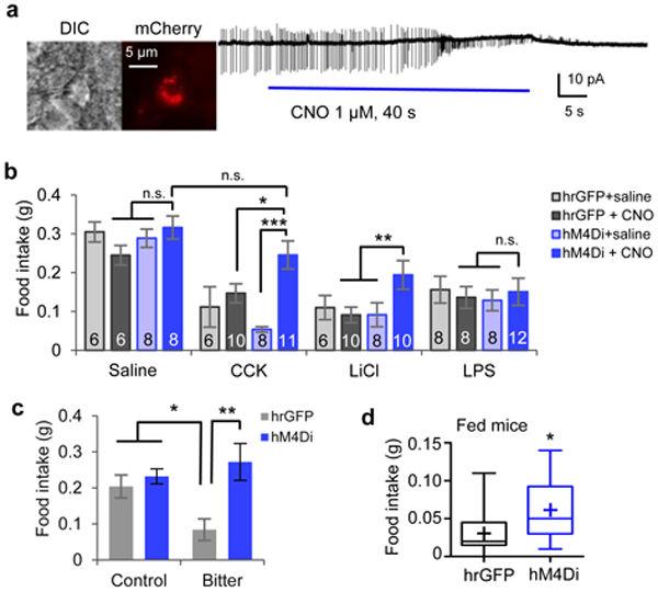 Cai et al. Page 19 Figure 2. Activity of CEl PKC-δ + neurons is required for the influence of anorexigenic agents a.