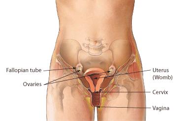 Disorders of the female reproductive system Pelvic inflammatory disease (PID) An infection of the female reproductive organs.