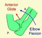 from full extension to full flexion (Morrey & Chao, 1976) < 1 from full extension to full flexion (London