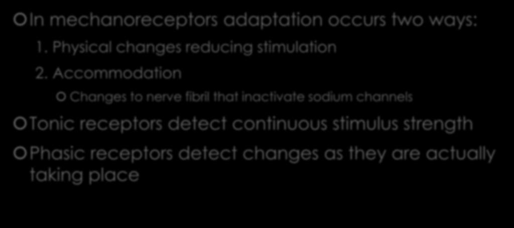 Receptor Adaptation In mechanoreceptors adaptation occurs two ways: 1. Physical changes reducing stimulation 2.