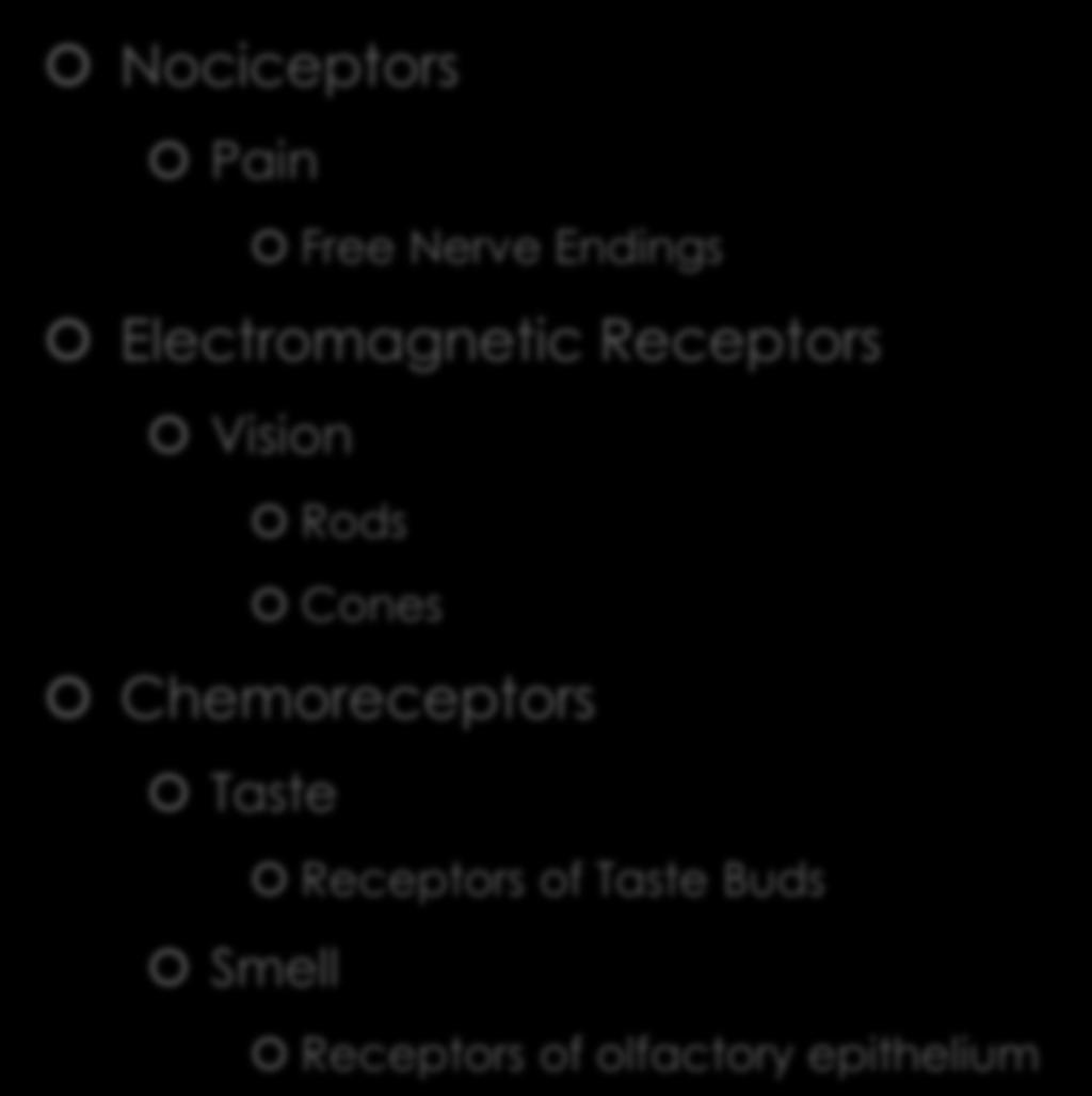 Classes Of Receptors Nociceptors Pain Free Nerve Endings Electromagnetic Receptors Vision Rods Cones