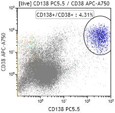 Plasma cells: CD138++/CD38++ Myeloma Cyt. KAPPA FITC Cyt.